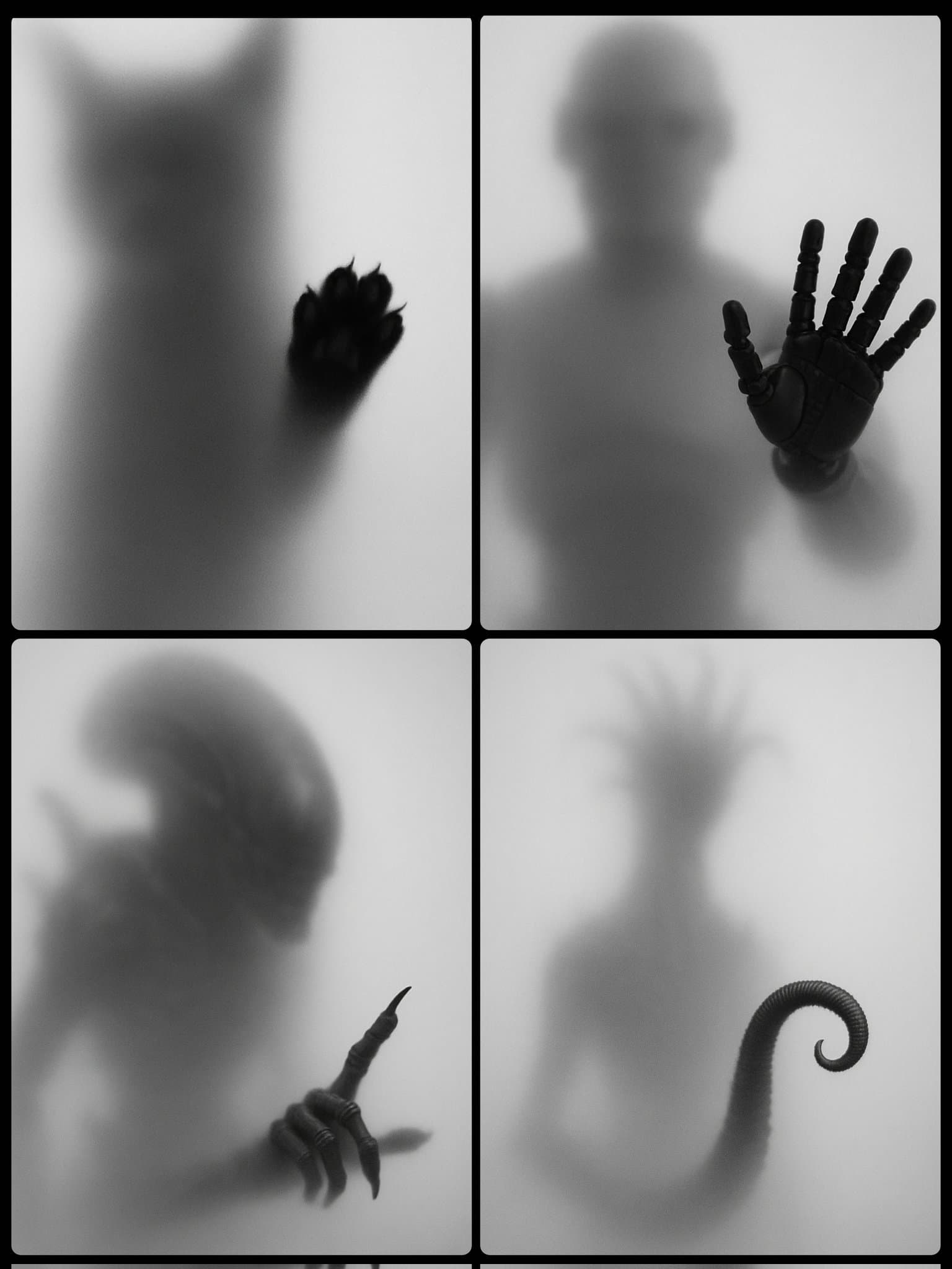 Frosted Blur Silhouette — Generated result